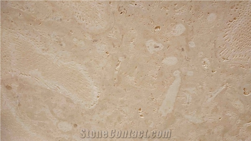 Calypso Coral - Classic Coral Stone, Golden Coral Stone Quarry