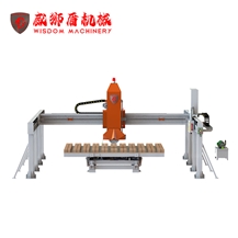 WSD500 countertop bridge saw for workshop