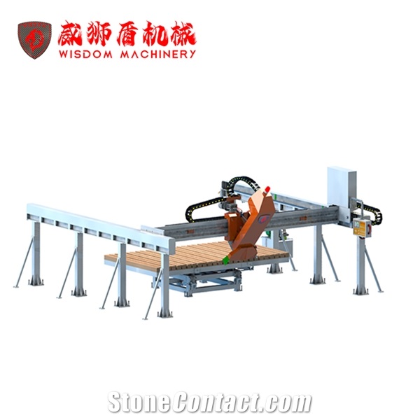 WSD500 countertop bridge saw for workshop