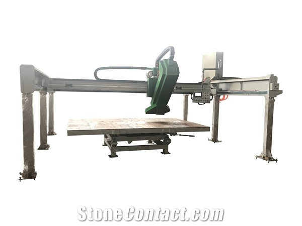 WSD500 countertop bridge saw for workshop