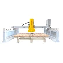 Wanlong PLC 400/600 Laser Bridge Cutting Machine Monoblock Saw Machine