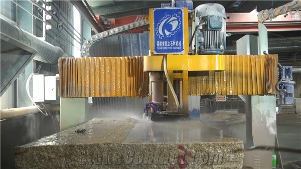 Bridge Stone Bottom Shaving Machine- Bridge Type Single Head Polishing Machine