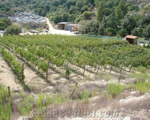 Grigio Sardo - Grigio Sardegna Granite Quarry