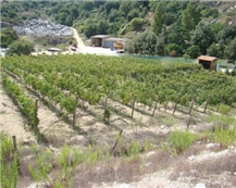 Grigio Sardo - Grigio Sardegna Granite Quarry