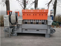 XL-4 Continuous Litchi Surface Machine