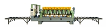 XL-6 Continuous Litchi Surface Machine