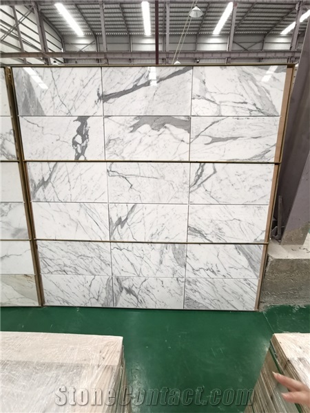 Large Snow Nature Marble White Slab