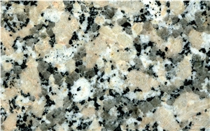 Crema Julia Granite Slabs, Tiles