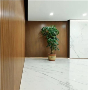 High Glossy Pure White Nano Crystallized Stone Slabs