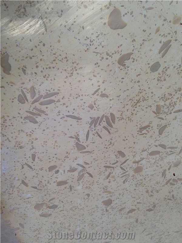 Galala fass Marble Slabs, Tiles