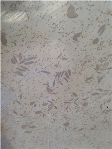 Galala fass Marble Slabs, Tiles