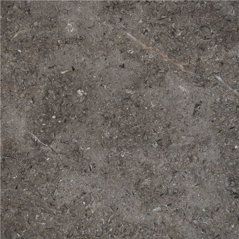 Sinai Pearl Dark Limestone Slabs