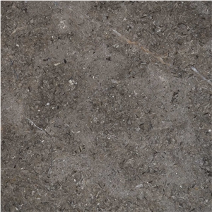 Sinai Pearl Dark Limestone Slabs