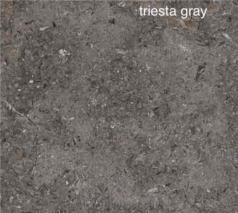 Sinai Pearl Dark Limestone Slabs