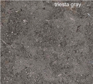 Sinai Pearl Dark Limestone Slabs