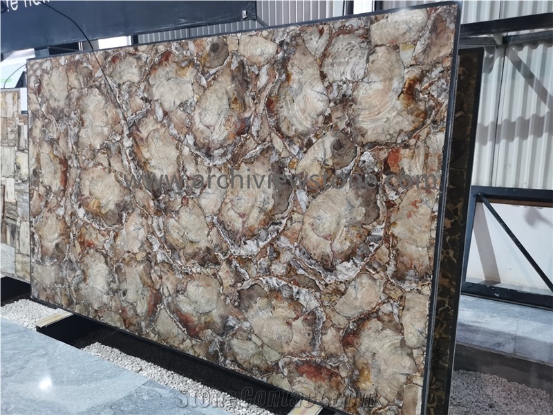 Brown Petrified Wood Gemstone Stone Backlit Slabs