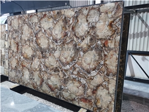 Brown Petrified Wood Gemstone Stone Backlit Slabs