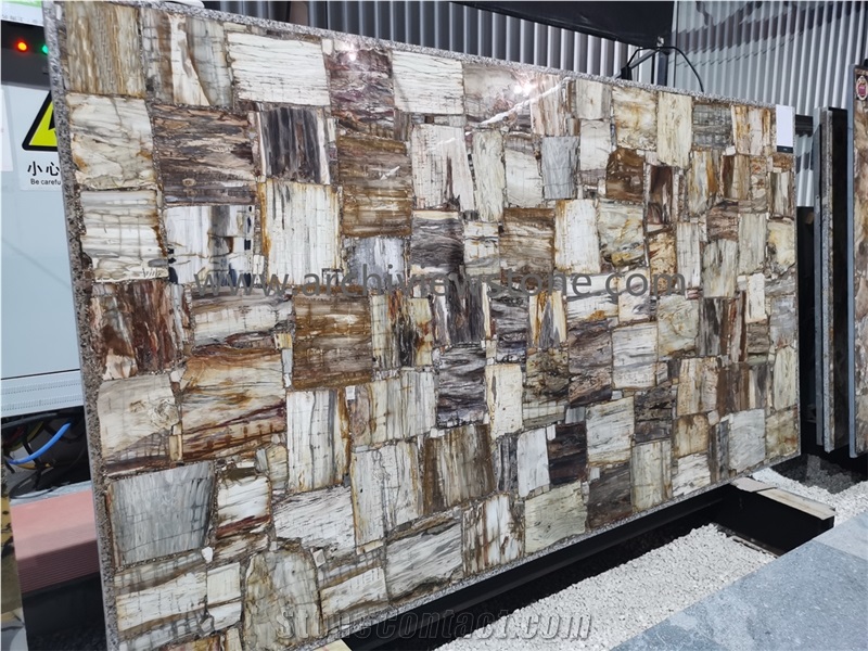 Petrified Wood Semiprecious Stone Backlit Gemstone Slabs