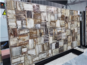 Petrified Wood Semiprecious Stone Backlit Gemstone Slabs