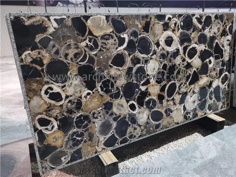 Round Petrified Wood Gemstone Backlit Slabs