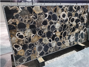 Round Petrified Wood Gemstone Backlit Slabs
