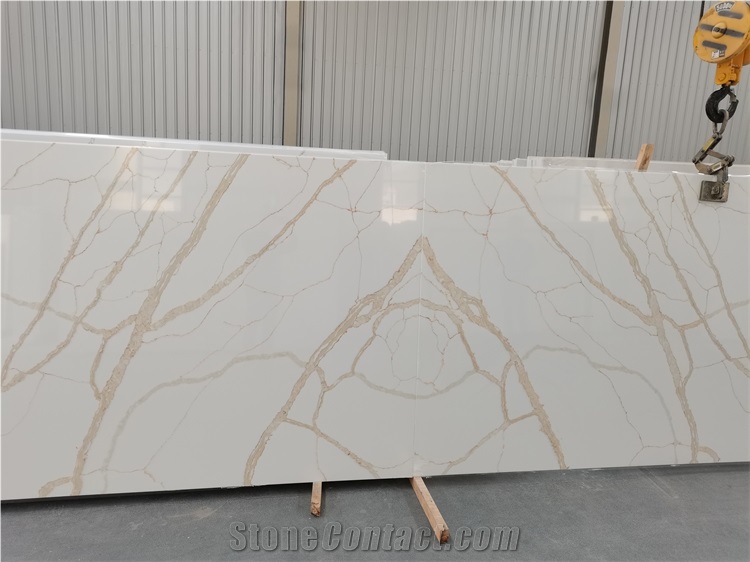 Calcutta Gold Quartz Stone Slabs Quartz Kitchen Slab