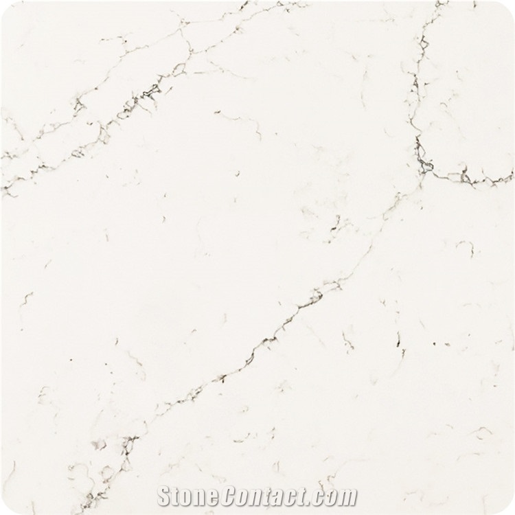 Man Made Quartz Calacatta White Used Widely 