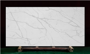 White Calacatta Quartz Slab And Countertops