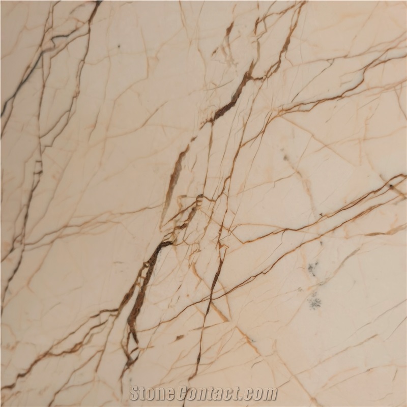 Turkey Dragon Gold Marble Slab