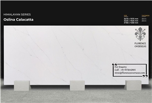 Florence Oslina Calcatta Quartz Slab
