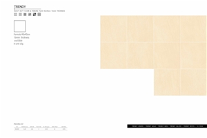 Florence Trendy Ceramic Floor Tile 400x400 Parking Tile16 mm