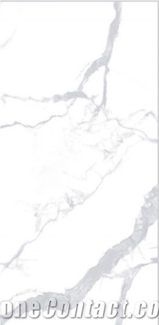 white calacatta porcelian 