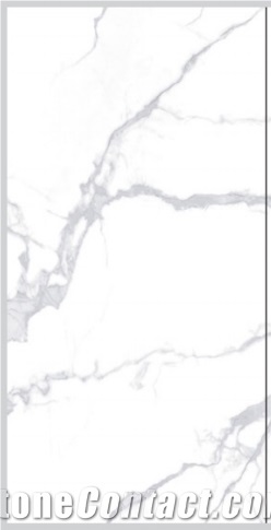 white calacatta porcelian 
