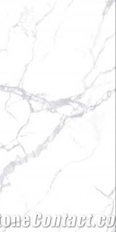 white calacatta porcelian 
