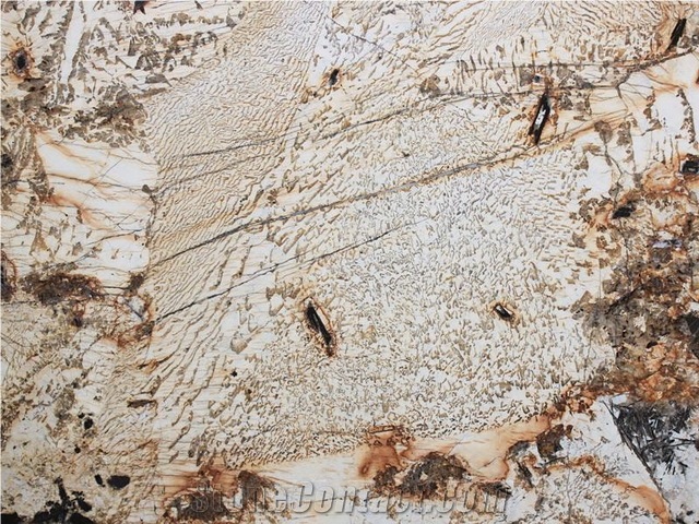 Crema Delicatus Granite