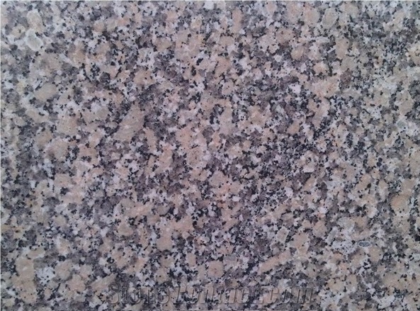Crema Julia - Rosa Minho Granite Slabs & Tiles