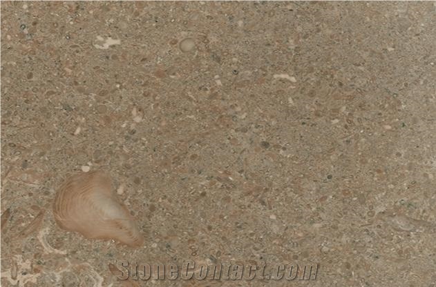Fossil Green Limestone