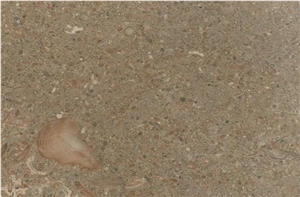 Fossil Green Limestone