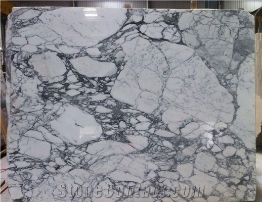 Italy Arabescato Corchia White Marble Slabs & Tiles