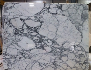 Italy Arabescato Corchia White Marble Slabs & Tiles