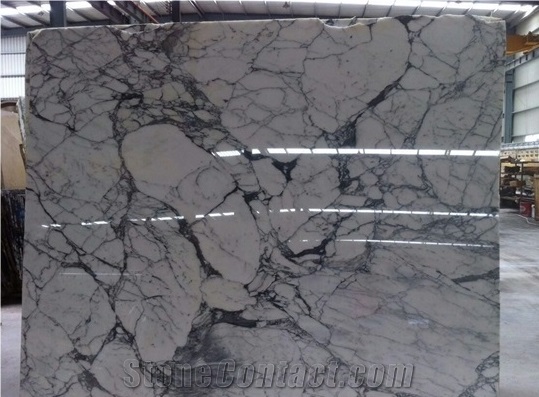 Italy Arabescato Corchia White Marble Slabs & Tiles