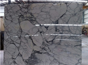Italy Arabescato Corchia White Marble Slabs & Tiles