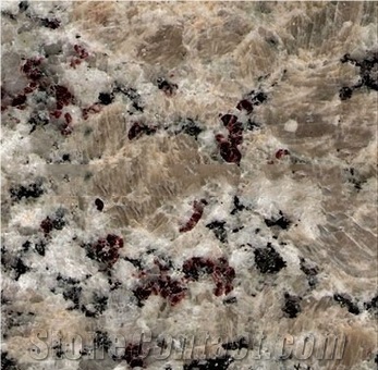 Manufacture Cheap Granite Giallo Butterfly Granite