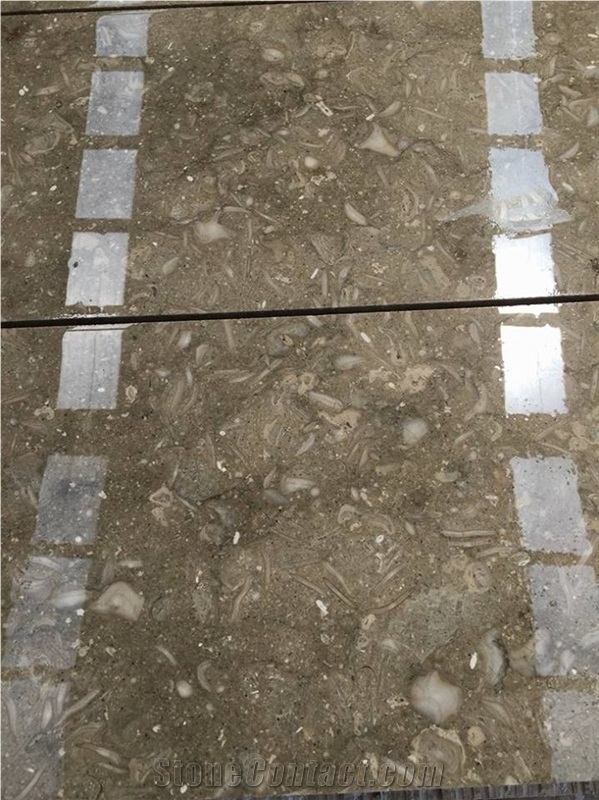SeaGrass Limestone Tiles, Slabs