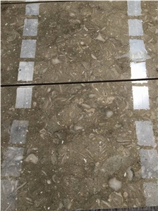SeaGrass Limestone Tiles, Slabs
