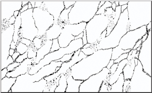Calacatta Turin Quartz Stone Slabs, Quartz Slabs Calacatta Turin Quartz Stone Slabs, Quartz Slabs