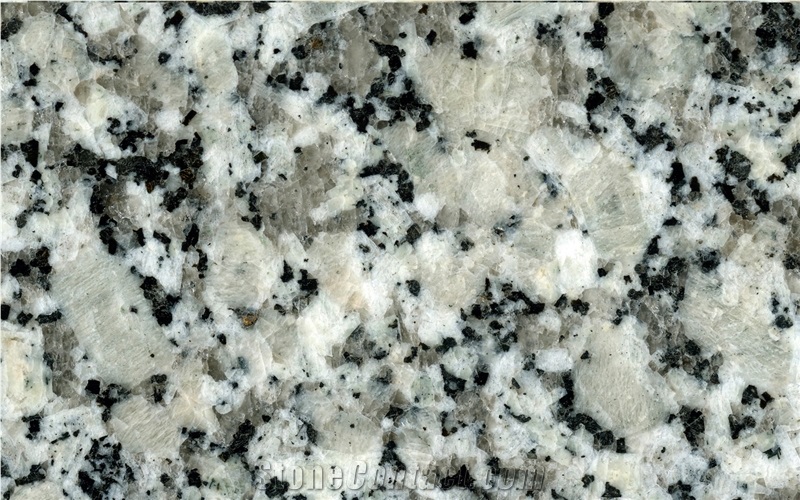 Gris Perla Granite Tiles & Slabs