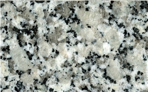 Gris Perla Granite Tiles & Slabs Gris Perla Granite Tiles & Slabs