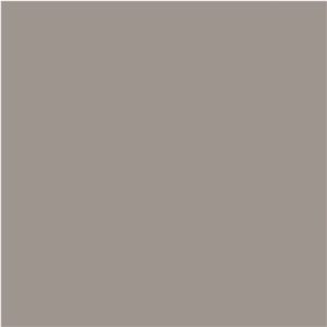 3 meter Brown Porcelain Wall Tiles  1S03CD120300-1502S