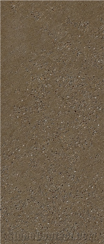 Brown Tarazzo Texture Sintered Stone 1S06ZD120278-1002Z